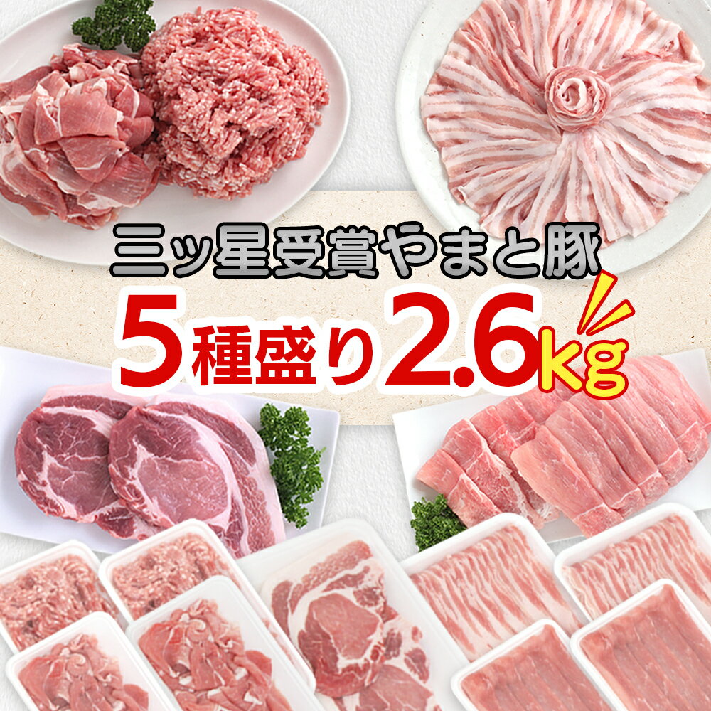 【ふるさと納税】やまと豚 豚肉 セット 5種 2.6kg 詰め合わせ 国産 肉 豚 豚肉 しゃぶしゃぶ 豚しゃぶ しゃぶしゃぶ肉 焼肉 豚ロース 豚バラ 豚こま モモスライス 豚バラ肉 ひき肉 挽き肉 ミンチ 豚ミンチ 切り落とし 焼肉 とんかつ 生姜焼き ハンバーグ 小分け 真空パック