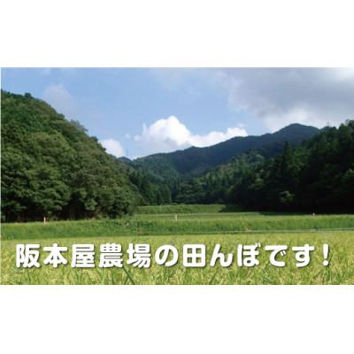 ふるさと納税 丹波篠山市 丹波篠山産　特Aランク　越光　(5kg×1袋　精米) |  | 01
