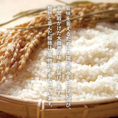 ふるさと納税 大子町 厳選大子米(おだがけ米) コシヒカリ 5kg 白米 |  | 02