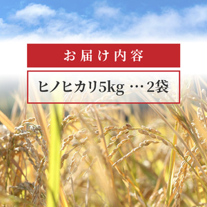 【新米おいしいお米】【ヒノヒカリ　10kg】（5㎏×2袋）_M64-0081 米 米 米 米 米 米 米 米 米 米 米 米 米 米 米 米 米 米 米 米 米 米 米 米 米 米 米 米 米 米 米