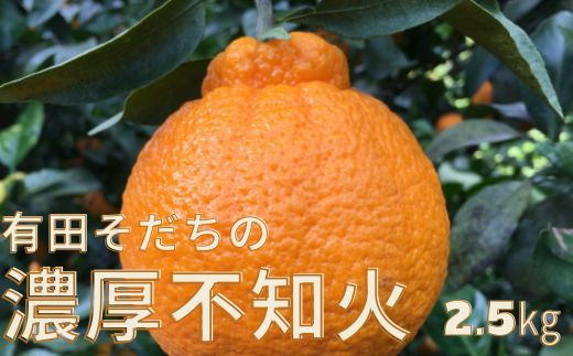 有田育ちの濃厚不知火(ご家庭用)(通称デコポン)　約2.5kg　【ard020B】