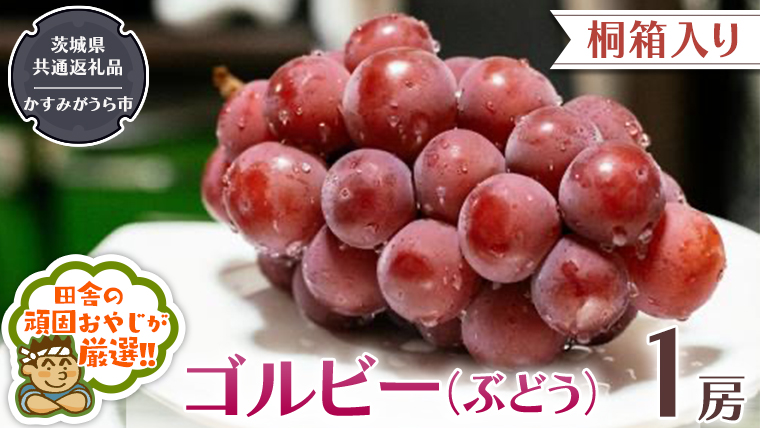 【 桐箱入り 】ゴルビー （ ぶどう ） 1房 【9月から発送開始】（茨城県共通返礼品 [ぶどう]：かすみがうら市産） ぶどう ゴルビー 果物 フルーツ 季節 旬 [BI392-NT]