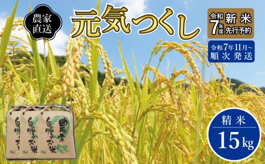 ＼令和7年産 先行予約／ 【2025年11月より順次発送】《令和７年産 》 福岡県産 米 「 元気つくし 」 5kg×3個 計15kg | お米 米 こめ 精米 白米 ライス ブランド米 ごはん ご飯