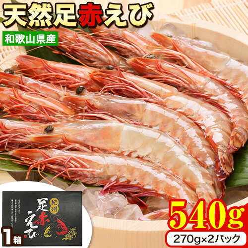 【ふるさと納税】【先行予約】天然足赤えび 540g(270g×2パック) 化粧箱入 魚鶴商店《2026年12月上旬-2月上旬頃出荷》和歌山県 日高町 足赤えび えび エビ 紀州和歌山産