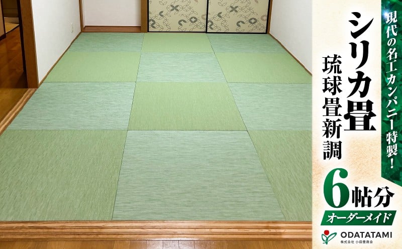 
            現代の名工カンパニー特製！シリカ畳琉球畳新調（畳半帖サイズ12枚）　K348-002
          