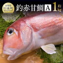 【ふるさと納税】釣赤甘鯛 A 宮崎県産 日向灘 アマダイ 送料無料 G4405