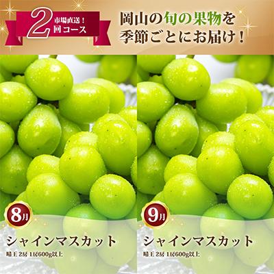 ふるさと納税 津山市 【発送月固定定期便】岡山県産 シャインマスカット『晴王』定期便全2回 |  | 01