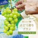 【ふるさと納税】 シャインマスカット ブドウ狩りプラン 2房 保証付き 収穫 体験 9月～10月上旬 ぶどう狩り 果物 フルーツ 甘い 山梨県 富士吉田市 ぶどう 葡萄 フルーツ狩り 果物狩り シャイン 収穫体験