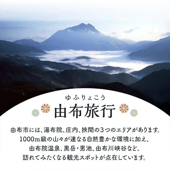 【由布市（湯布院、由布院、湯平、塚原高原）】ふるさと納税宿泊補助券6,000円分 | 温泉 宿泊券 旅行 トラベル 宿泊 湯布院 由布院