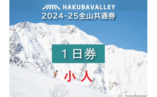 HAKUBA VALLEY 10スキー場共通小人1日券・小人（2枚）※6歳～12歳