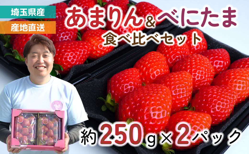 
            いちご 【先行予約】 あまりん・べにたま 食べ比べセット 2パック 約500g (あまりん 約250g/パック 9～15粒・ べにたま 約250g/パック 9～15粒) | いちご イチゴ 苺 埼玉県オリジナル品種 大粒 甘い おいしい 美味しい 新鮮 季節限定 期間限定 限定 糖度が高い 甘み 甘さ 果実 フルーツ ギフト 贈り物 贈答 旬の果物 果物 産地直送 solfarm 埼玉県 東松山市
          