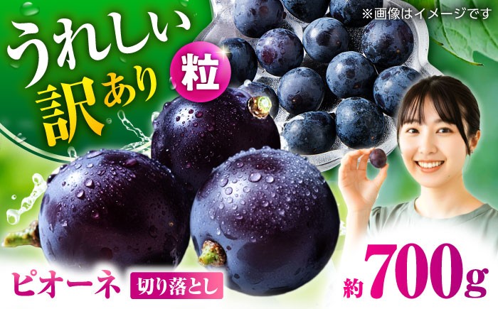 
                  訳あり ぶどう 【先行予約】ピオーネ 切り落とし 約700g  【合同会社 社方園】  1万円以下 10000円以下 ブドウ 葡萄 黒ぶどう フルーツ 果物 熊本県 山鹿市 [ZBZ037]
                