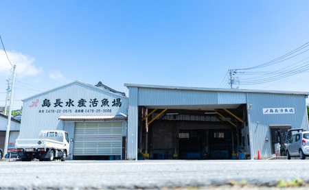 ボイル 真ダコ 4パック (140g×4) 10,000円 銚子港水揚げ 冷凍 新鮮 簡単調理 お刺身 たこ タコ 蛸 真ダコ 真蛸 マダコ 煮だこ 煮ダコ ゆでだこ ボイルタコ カルパッチョ マリネ