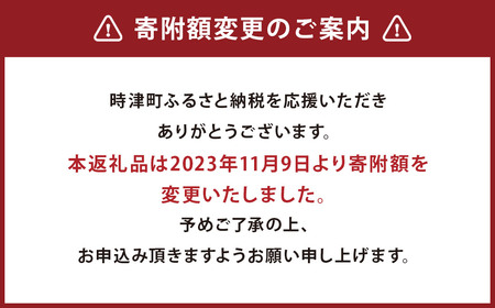 【定期便6回】長崎県産 本マグロ（養殖）大トロ 皮付き 約600g 生食用