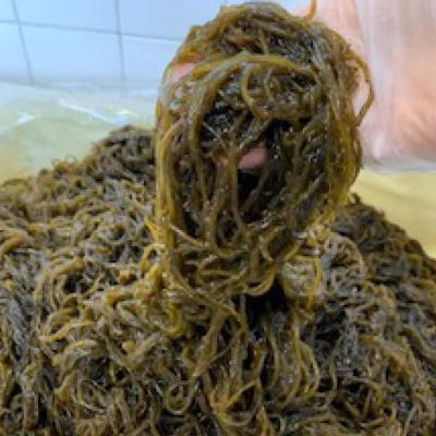 ふるさと納税 南あわじ市 【数量限定】天然島もずく(1kg×2袋) |  | 01