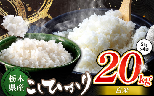 栃木県産 コシヒカリ 白米 20kg | お米 こめ ご飯 ごはん おにぎり おむすび 米 送料無料 定期便 単品 こしひかり 栃木県 銘柄米 ブランド米 栃木県共通返礼品