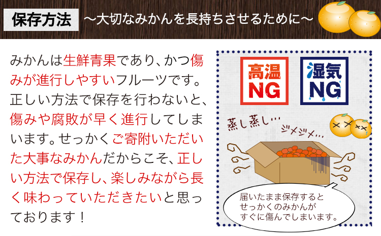 温州みかん 約3kg 日本フルーツ株式会社 熊本県 長洲町 《10月中旬-2月下旬頃出荷》 デコポン 果物 秀品 フルーツ スイーツ デザート ギフト ご贈答---sn_nfum_10c2g_26_8