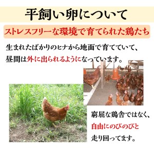 【6回定期便】＜アスカ有機農園＞旬の京野菜セットL（平飼い卵付）定期便＊毎月お届け全6回定期便≪野菜定期便 ふるさと納税野菜定期便 野菜詰め合わせ 野菜セット 野菜定期便 厳選野菜 旬野菜定期便 京都