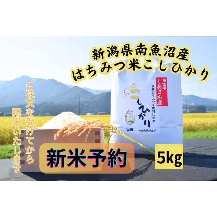 【令和8年・新米予約】新潟県南魚沼産（塩沢地区）はちみつ米コシヒカリ 5kg※蜂蜜発酵液肥料栽培【2026年9月下旬より1ヶ月以内に順次発送予定】｜コシヒカリ
