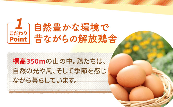 【12回定期便】いとう君ちのあっぱれ卵 80個（76個+割れ補償4個）/いとう養鶏場 [UAQ005]
