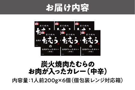 大阪名物 とろとろのお肉ごろごろの焼肉たむらのカレー 6個入り_OS158-0001