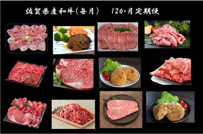 【ふるさと納税】佐賀牛・佐賀県産和牛（毎月）12か月定期便（DV224）