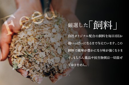 ＜木城ブランチ　有田白木八重牧場育ちの陸の王者黒毛和牛サーロインダイスカットステーキ　250g＞ K20_0019_1