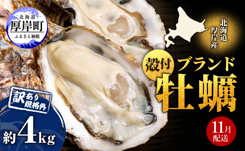 11月配送 訳あり 牡蠣 北海道厚岸産 殻付カキ 約4kg (25から50個) カキナイフ付 生食 生牡蠣 貝付き牡蠣 貝 海鮮 魚介類 殻付き牡蠣 マルえもん