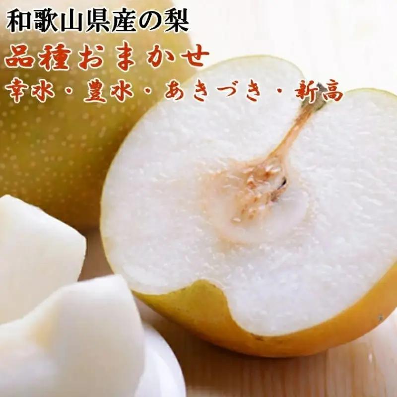 和歌山県産の梨約2kg(品種おまかせ)【2027年8月下旬～2027年9月下旬頃に順次発送予定】【TM181】【TM016-tec925D】