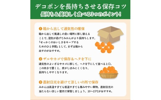 先行予約 デコポン 約1.5kg 果物 フルーツ デコポン 不知火 みかん 蜜柑 柑橘 デザート スイーツ ケーキ ジュース ゼリー アイス シャーベット ジェラート ギフト 家庭用 旬の果物 旬 お