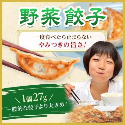 ふるさと納税 佐野市 【佐野餃子(中)野菜餃子(1個27g)24個4人前】×2袋 【離島・沖縄県不可】 |  | 01
