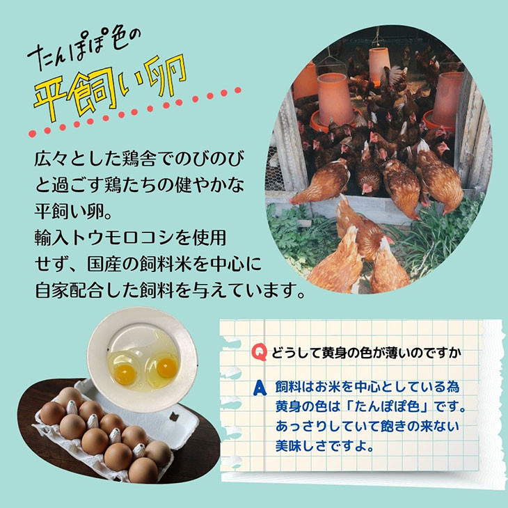 【定期便】京都丹波産【栽培期間中農薬・化学肥料不使用】野菜セット【デラックス】