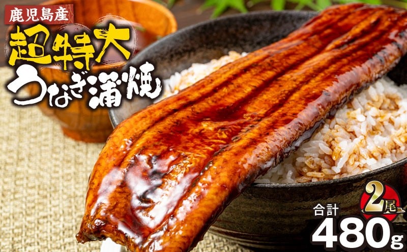 
                  鹿児島産 超特大うなぎ蒲焼240g×2尾　KN021-042-02
                