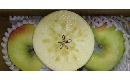 りんご ぐんま名月 秀品 3kg 7～11玉 りんご