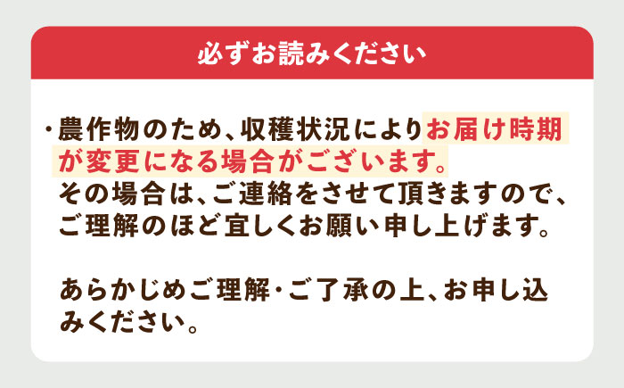 【先行予約】【2026年3月以降順次発送】壱岐市産 いちご ゆめのか 1kg（250g×4パック）《壱岐市》【壱岐市農業協同組合】 イチゴ フルーツ 果物 スムージー 完熟 春 先行予約 数量限定 [