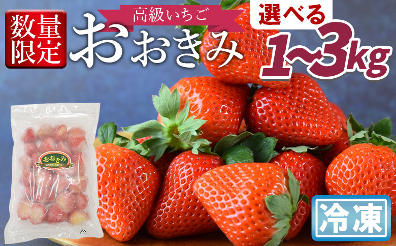 
            高級いちご「おおきみ」冷凍いちご 2025年1月下旬から順次出荷【 選べる 果物 くだもの いちご イチゴ 苺 大粒 朝どれ 朝獲れ 産地直送 お菓子づくり お菓子作り 材料 冷凍いちご 冷凍苺 冷凍イチゴ 】
          