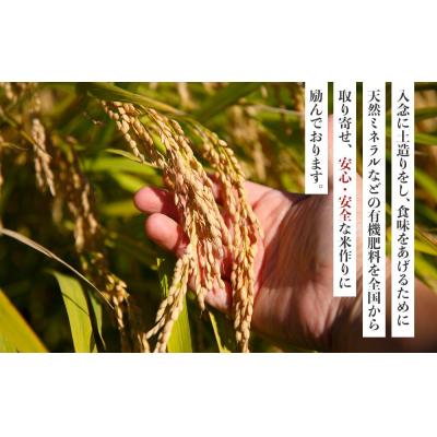 ふるさと納税 徳島市 先行予約【令和8年産新米】ミルキークイーン 10kg(農薬・化学肥料不使用)【BU011】 |  | 01