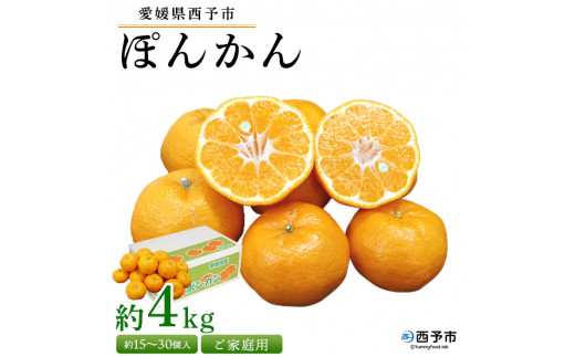 ＜愛媛県西予市産 ぽんかん ご家庭用 約4kg＞約15～30個入り 訳あり 果物 くだもの フルーツ みかん ミカン オレンジ ポンカン 柑橘 特産品 愛媛県 西予市【常温】