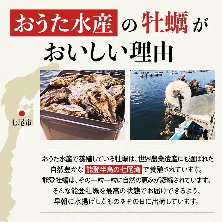 【能登半島地震復興支援】【発送時期が選べる】魚介類 牡蠣　/ 能登かき 殻付 牡蠣 約3.5kg（約30個）専用ナイフ・片手用軍手付 | 訳あり 生活応援価格 ご家庭用 石川県 七尾市 ※加熱用 ※2