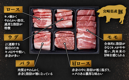 【宮崎牛＆宮崎県産豚肉】焼肉10種盛り　食べ比べセット計600g　国産牛肉　国産豚肉　ミヤチク＜1.1-7＞