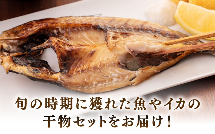 【全2回定期便】厳選　壱岐干し物セット《壱岐市》【馬渡水産】あじ アジ いわし イワシ たい タイ いか イカ 鯛 鯵 鰯 干物 ひもの 干物セット 冷凍配送 [JAQ016]