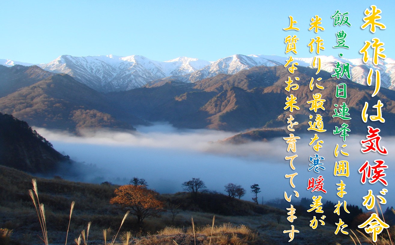 【令和７年産米 先行予約】雪若丸5kg(5kg×1袋)　おぐにのこめ