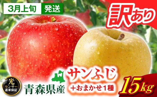 【2027年3月上旬発送】 【訳あり】 りんご 15kg 詰め合わせ 計2種(サンふじ と 他1種) 不揃い フルーツ 家庭用