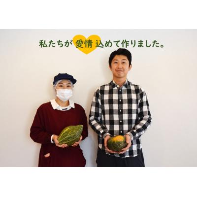 ふるさと納税 苫前町 上田ファームのかぼちゃ団子Quick　9個入り×3袋(北海道・おやつ・お弁当 |  | 02