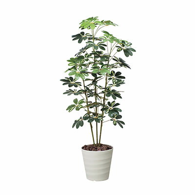 【ふるさと納税】造花 光の楽園 1.5 カポック斑入り インテリア 光触媒 人工植物 フェイクグリーン 花 フラワー 清浄 消臭 抗菌 防汚 静岡県浜松市