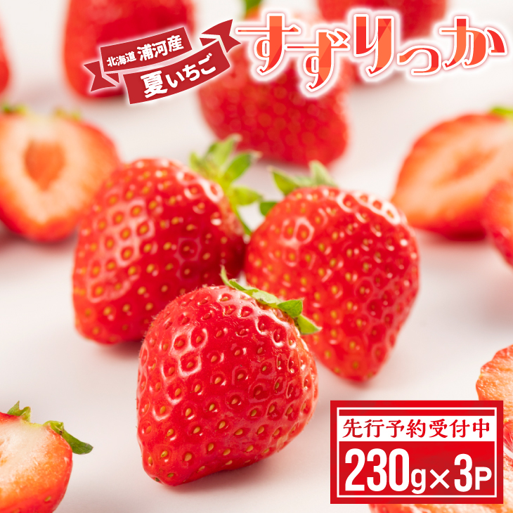 【先行受付開始！】北海道浦河産 夏いちご 「すずりっか」230g×3P[13-1334]
