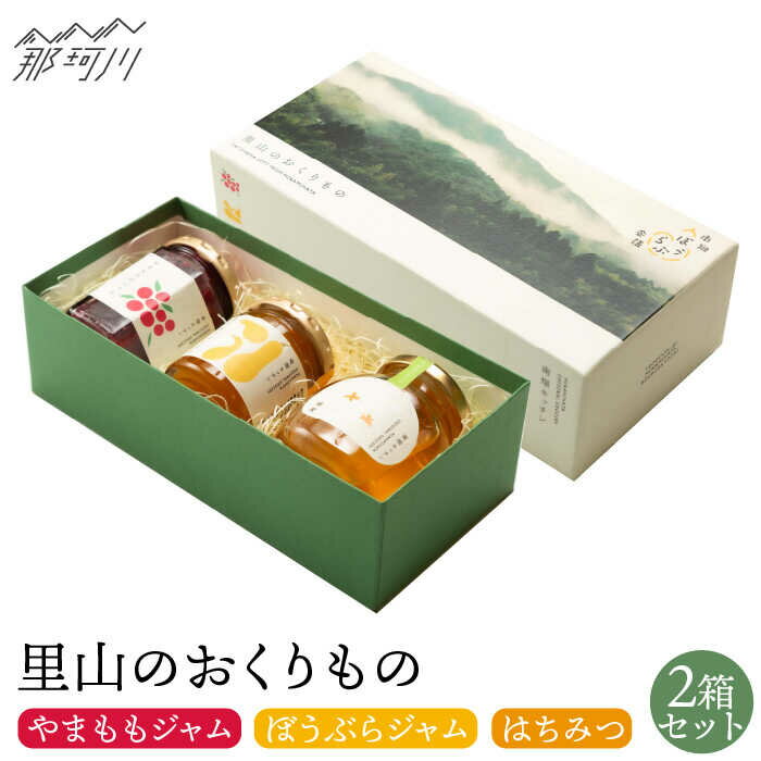 【ふるさと納税】【贈り物にピッタリ！】里山のおくりもの 2箱 （やまもも、ぼうぶらのジャム、蜂蜜セット）＜株式会社南畑ぼうぶら会議＞那珂川市 [GBL002] 30000 30000円 3万円
