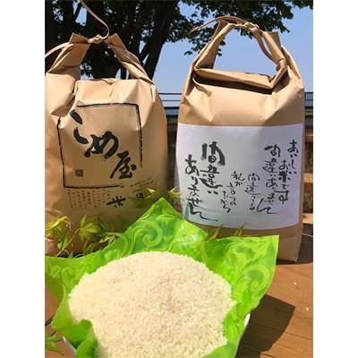 ふるさと納税 玉名市 【毎月定期便】熊本県産ヒノヒカリ(精米) 5kg×2個全6回 |  | 01