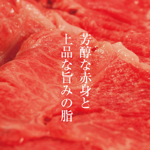 牛肉 京都もり牛 切り落とし スライス 600g 京都府産 国産 国産牛 和牛 黒毛和牛