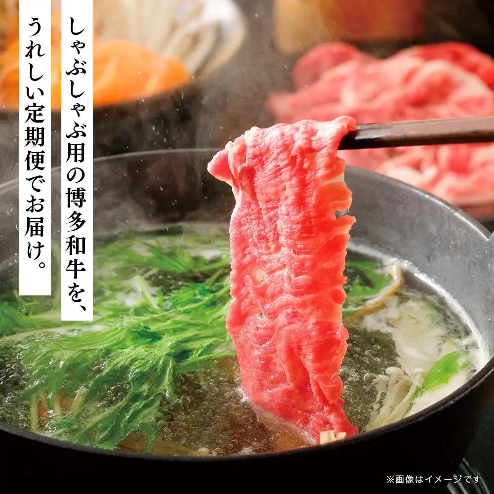 博多和牛 しゃぶしゃぶ 定期便全5回(約500g×5回)